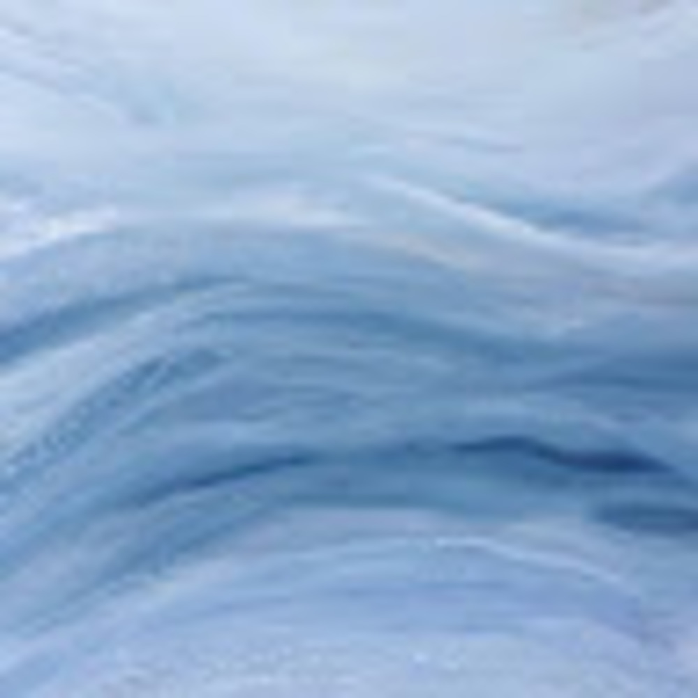 Meet your Posher, Elise